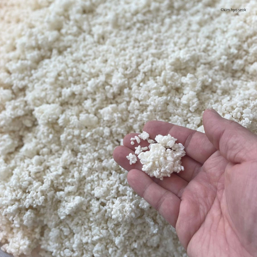 tennenkoumamekouji 天然麹 米麹菌