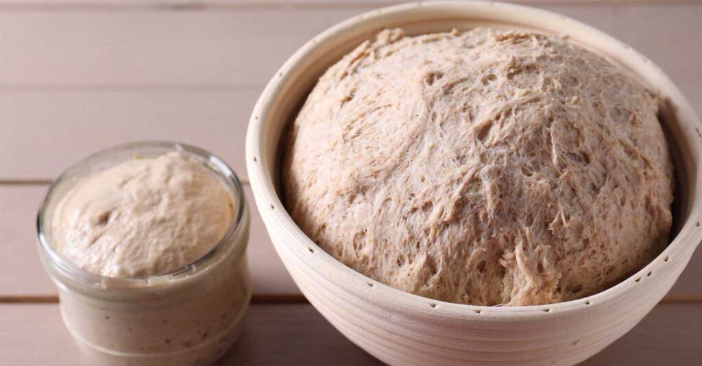 伝統発酵食文化協会 天然酵母づくり講座