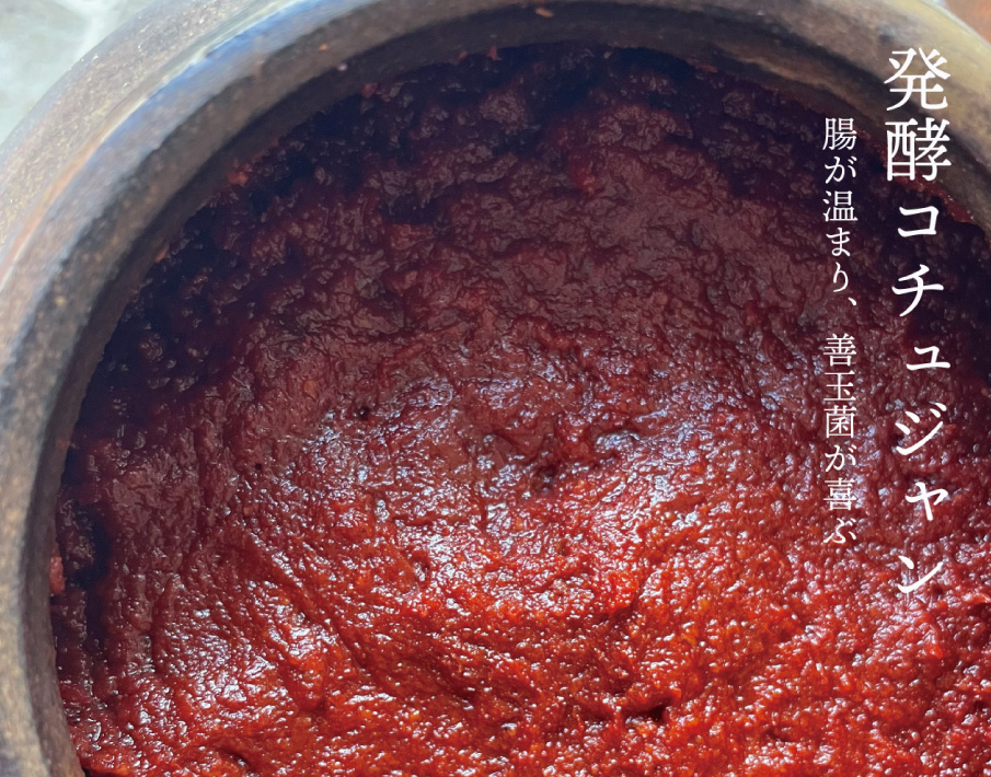 伝統発酵食文化協会 発酵調味料講座 コチュジャンづくり講座