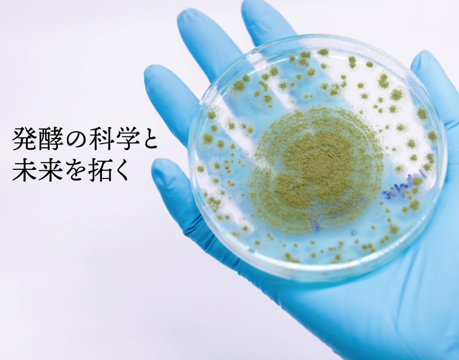 伝統発酵食文化協会 麹菌＆麹の培養学 理論講座