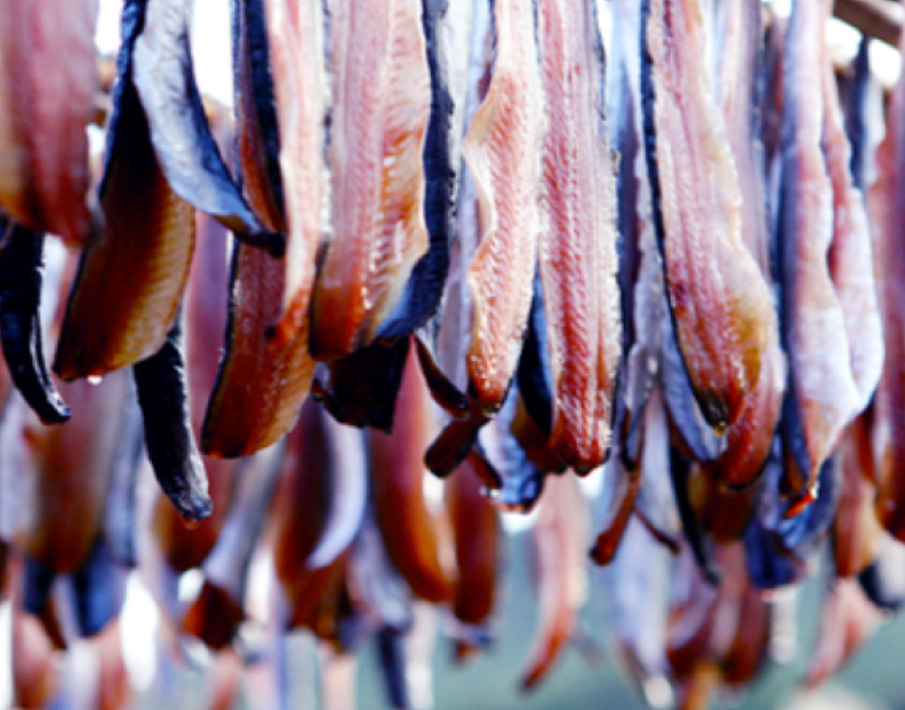 伝統発酵食文化協会 魚の発酵食づくり講座