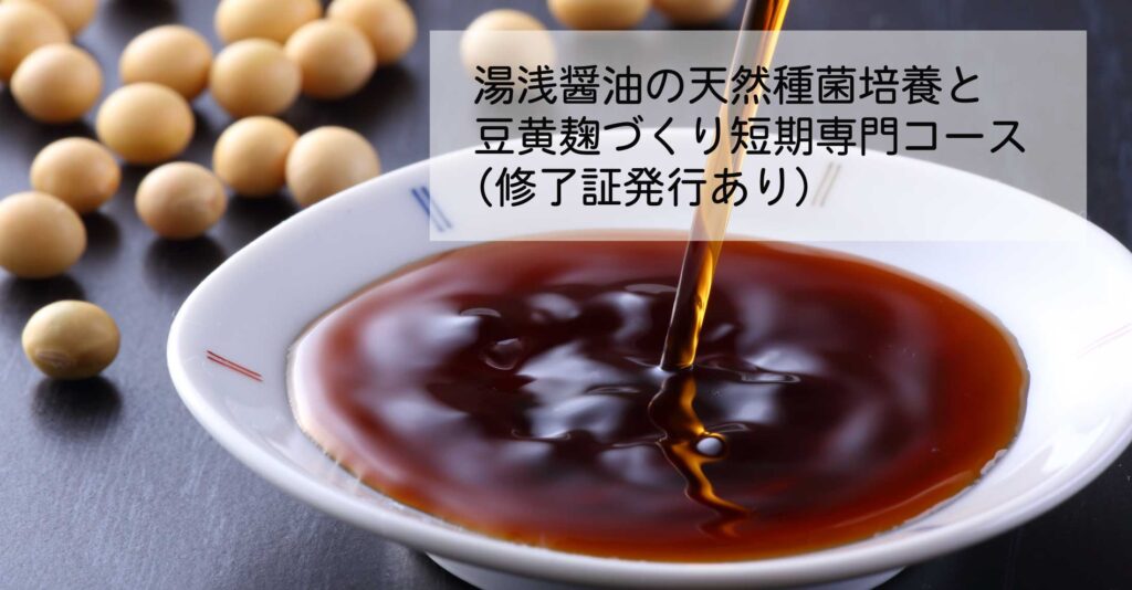 伝統発酵食文化協会 醤油づくり短期専門コース