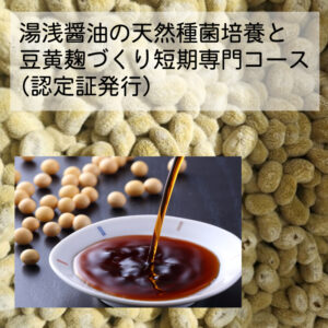 伝統発酵食文化協会 醤油づくり短期専門コース