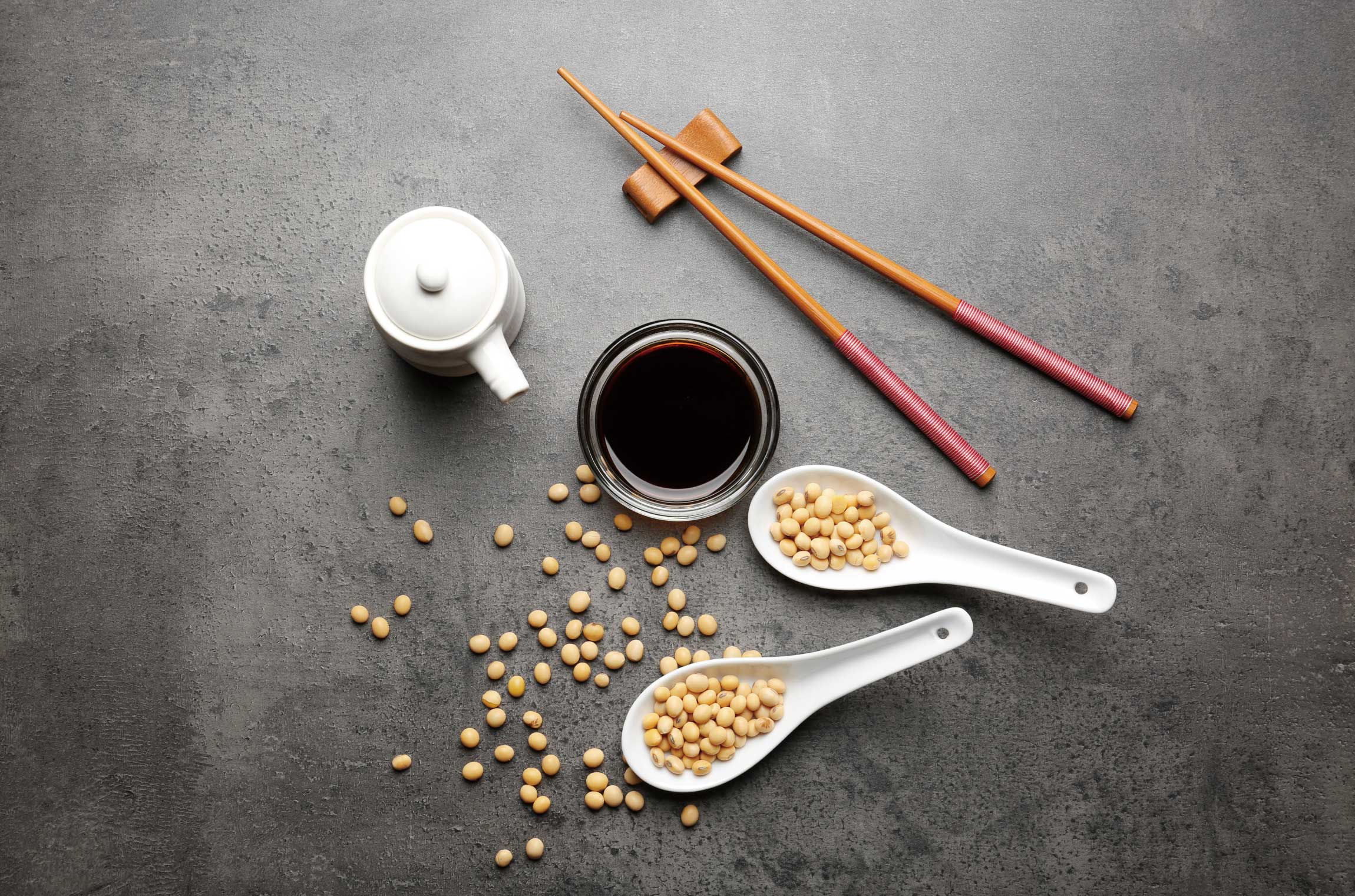 伝統発酵食文化協会 醤油づくり短期専門コース