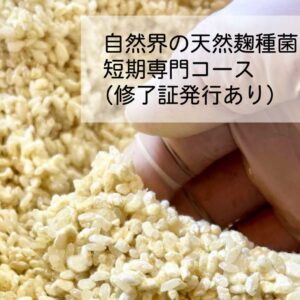 天然麹菌培養単発講座