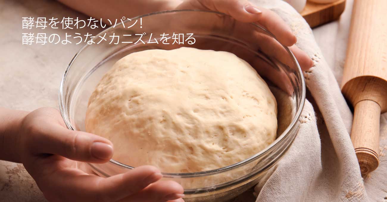 天然酵母づくり講座 伝統発酵食文化協会