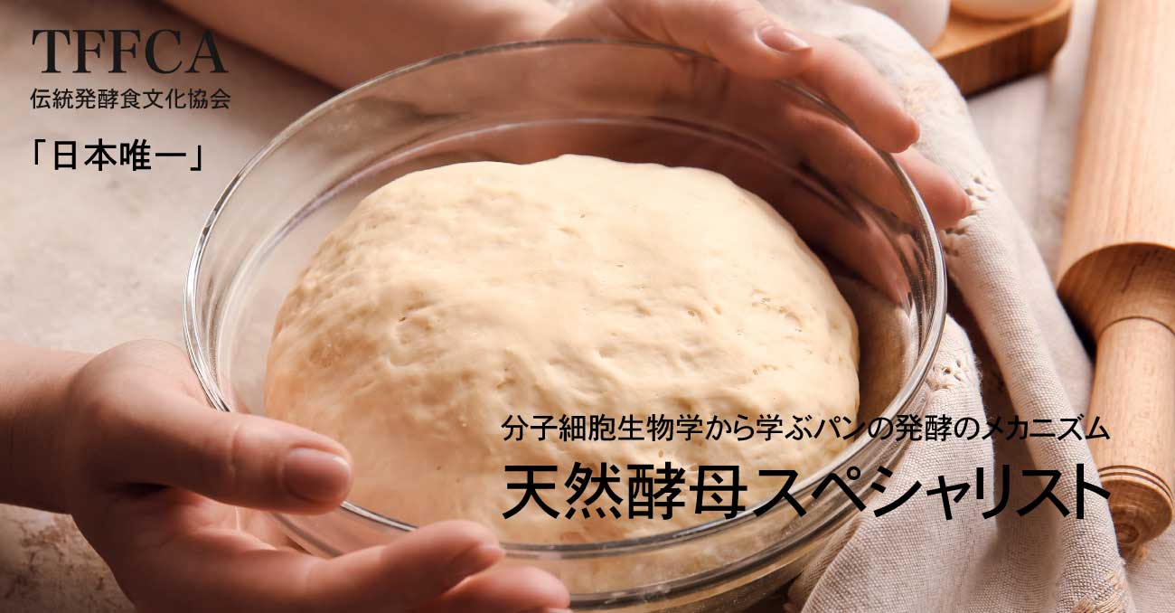天然酵母づくり講座 伝統発酵食文化協会