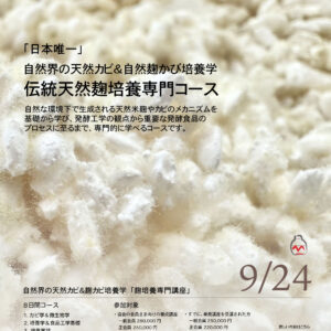 天然カビ学と麹かび培養学＆伝統味噌専門コース
