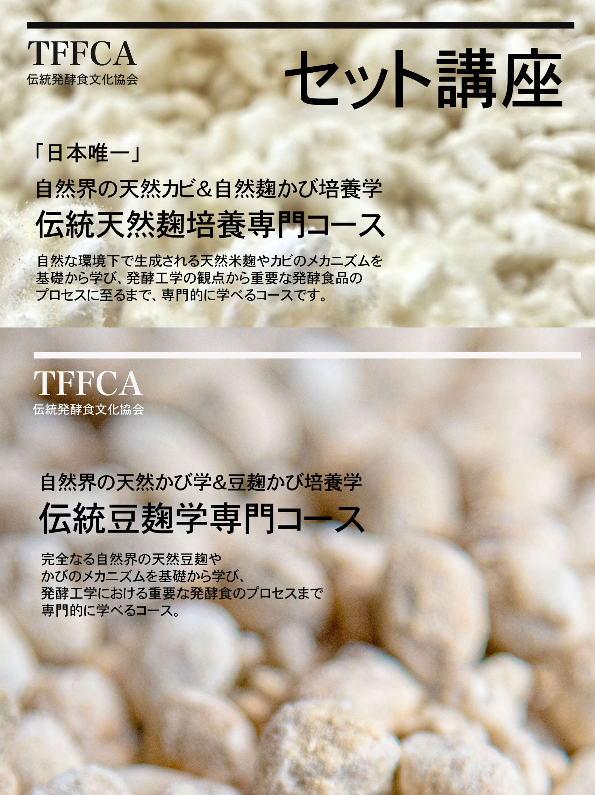 豆麹＆米麹菌培養学専門コース講座 伝統発酵食文化協会 日本唯一の講座