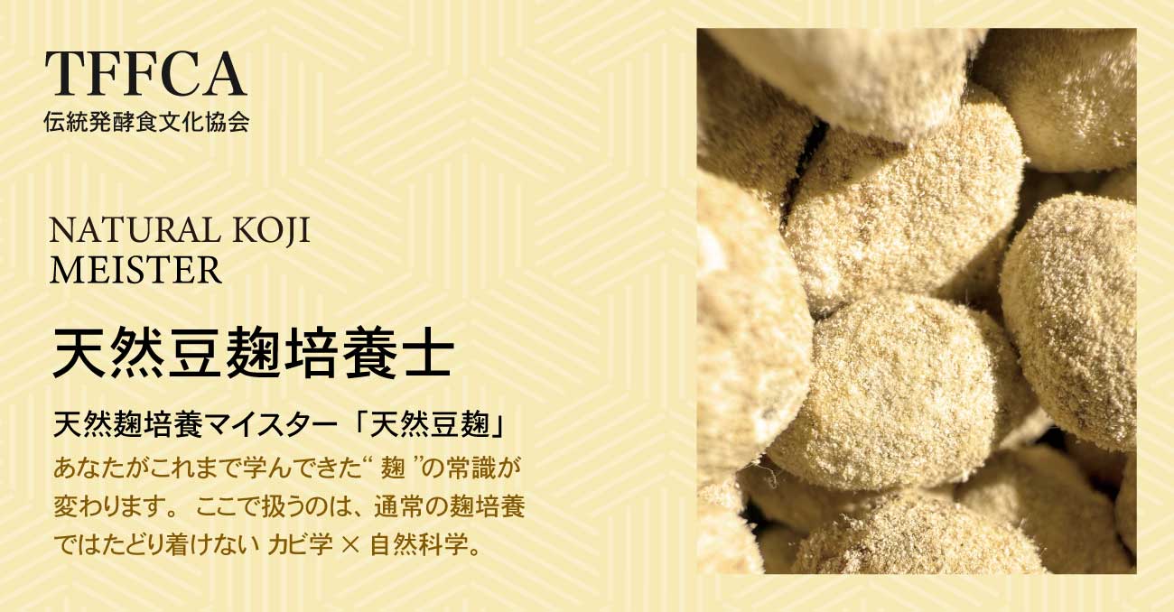 豆麹培養 天然豆麹 醤油づくり専門コース講座