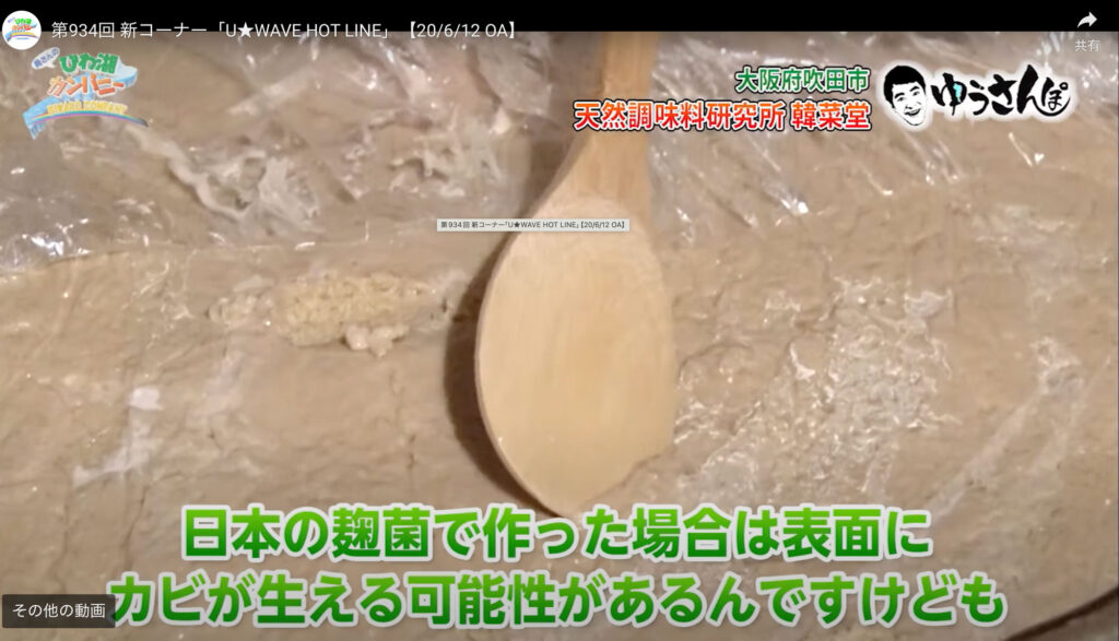 伝統発酵チーズ味噌 伝統発酵食文化協会 味噌づくりコース 世界初