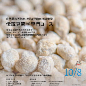 伝統豆麹菌培養学専門コース講座