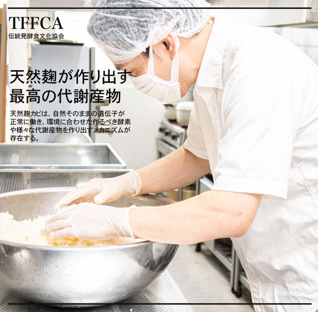 伝統発酵食文化協会 麹培養講座コース