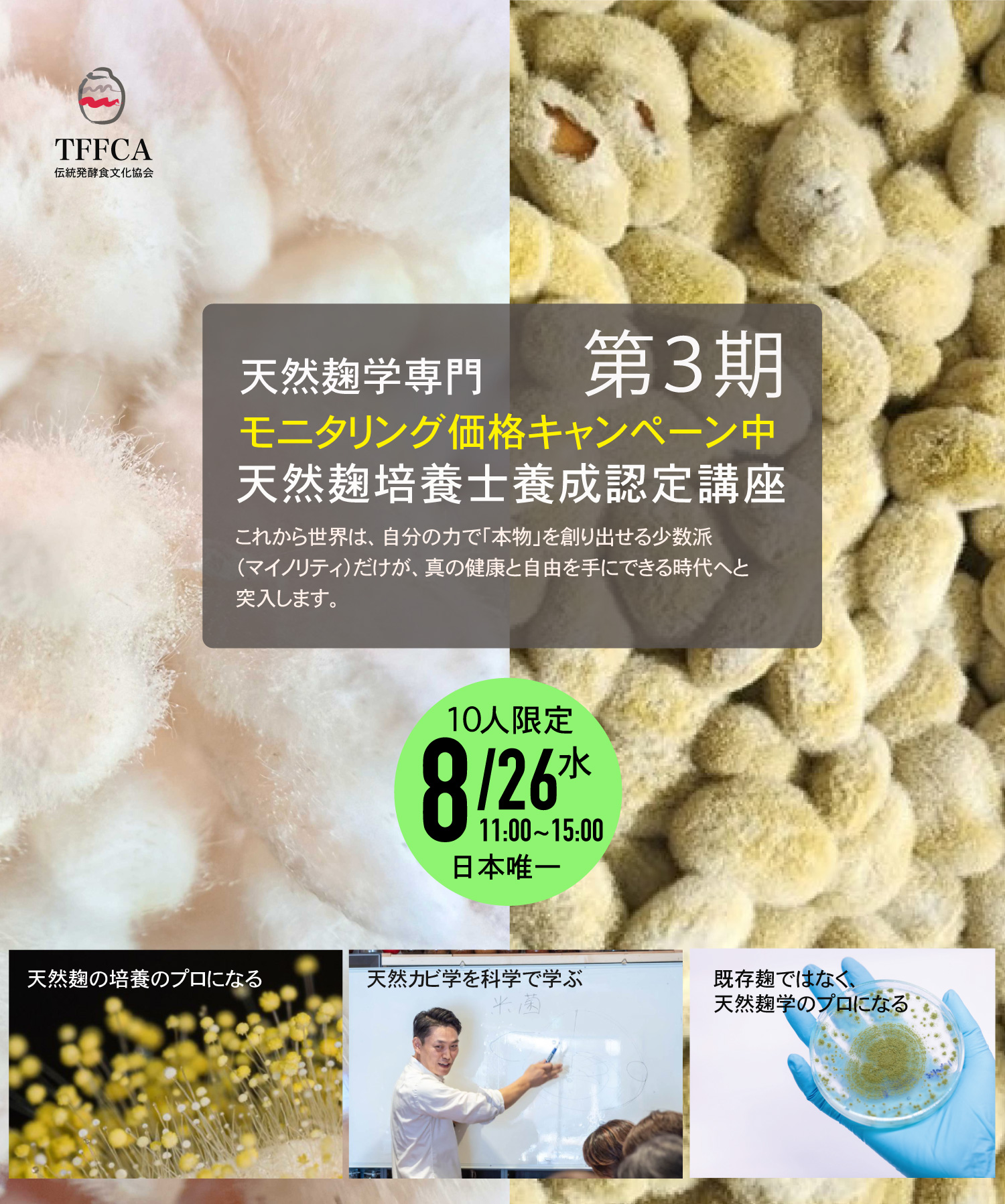 天然麹培養学 伝統発酵食文化協会 種菌を作る日本唯一の発酵学講座