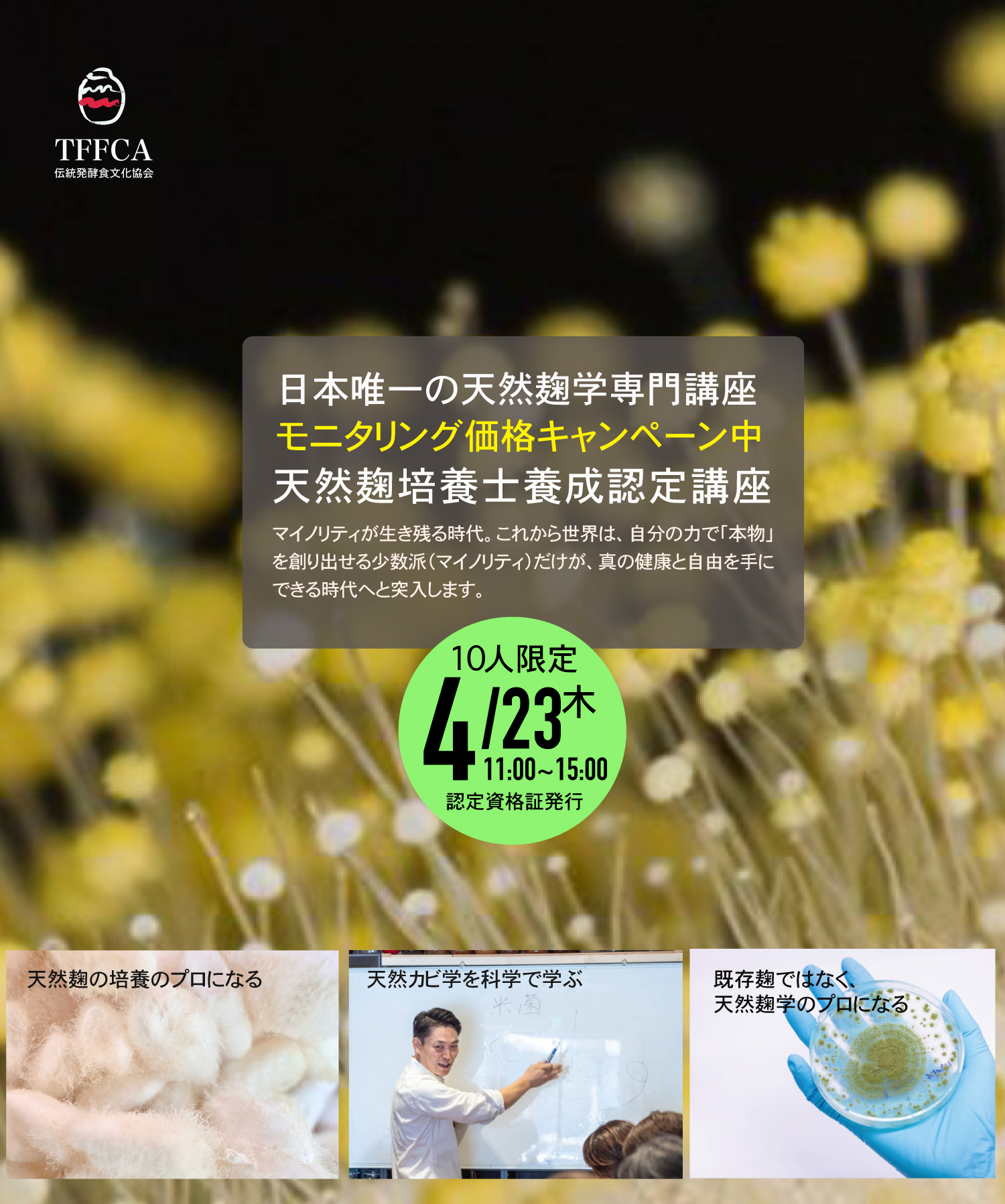 天然麹培養学 伝統発酵食文化協会