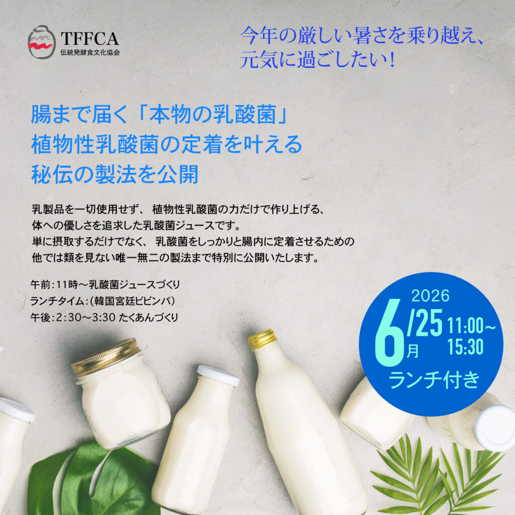 乳酸菌ジュース作りと韓国料理ランチ付き