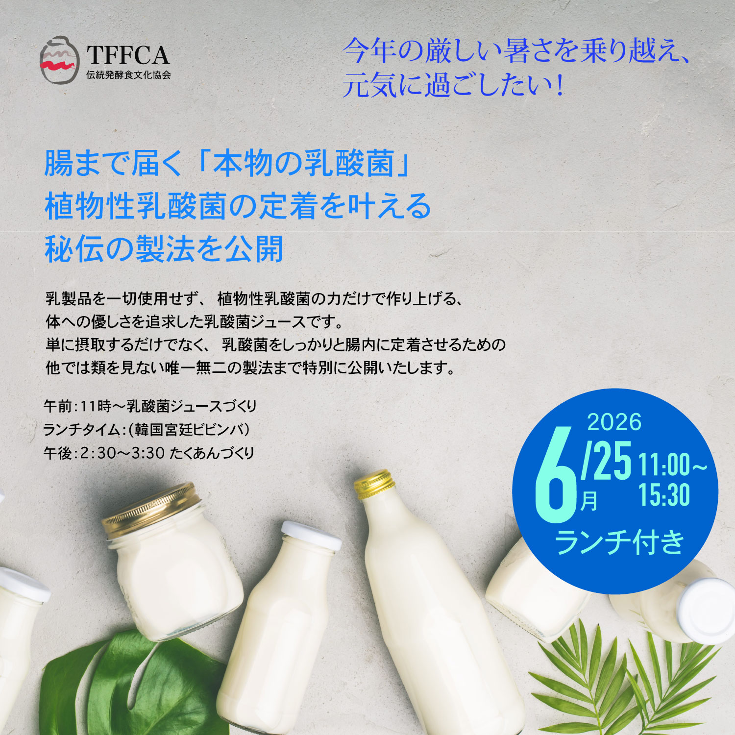 乳酸菌ジュース作りと韓国料理ランチ付き