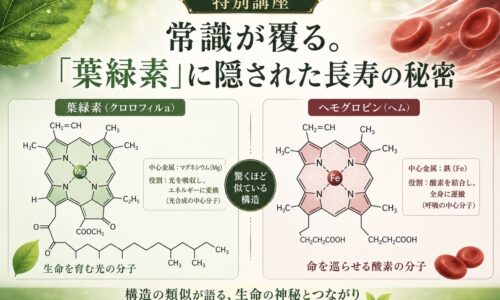 講座のサムネイル
