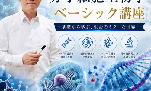 講座のサムネイル